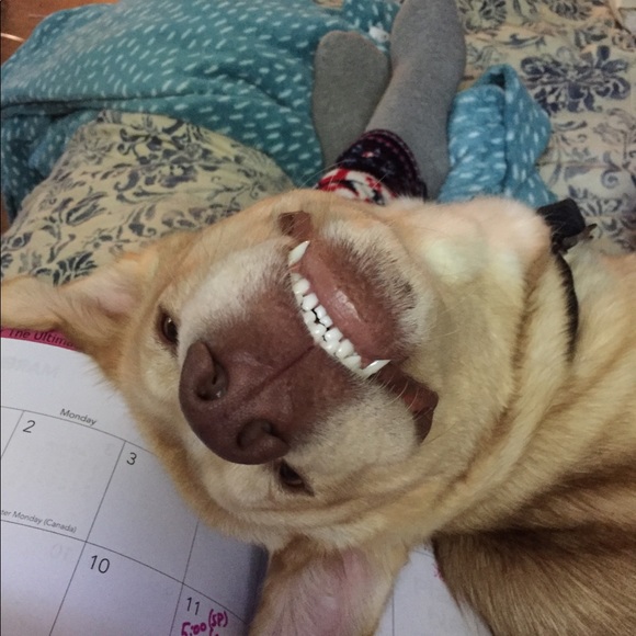 Meet your Posher, Jessica - Picture 3 of 8